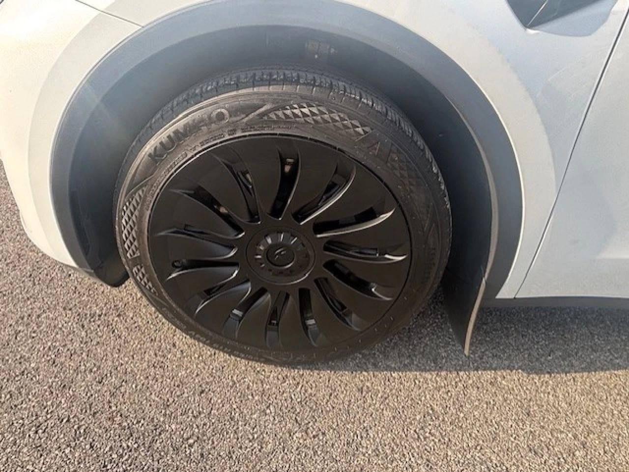 2023 Tesla Y  Main Image