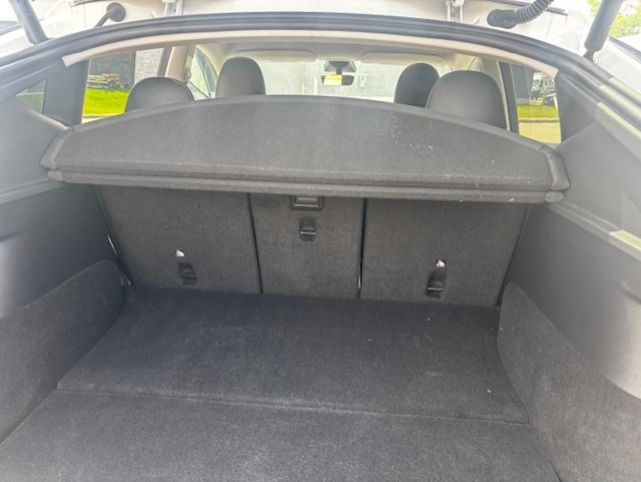 2023 Tesla Y  Main Image