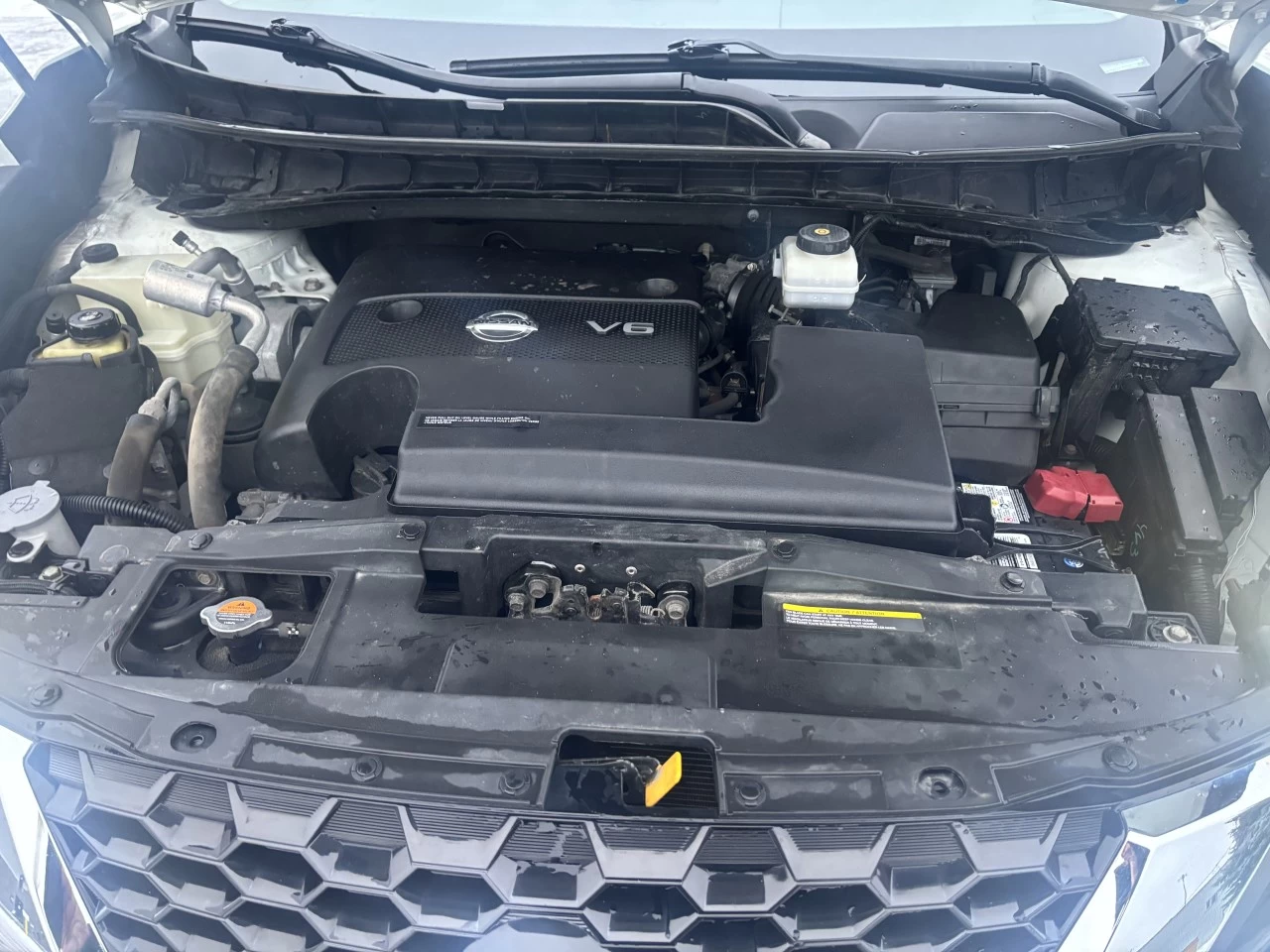 2019 Nissan Murano SV Image principale