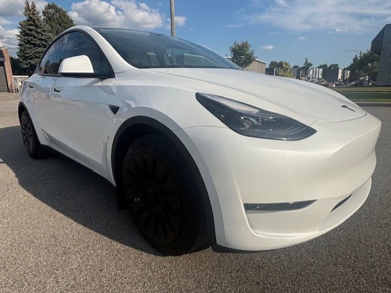 2023 Tesla Y  Main Image