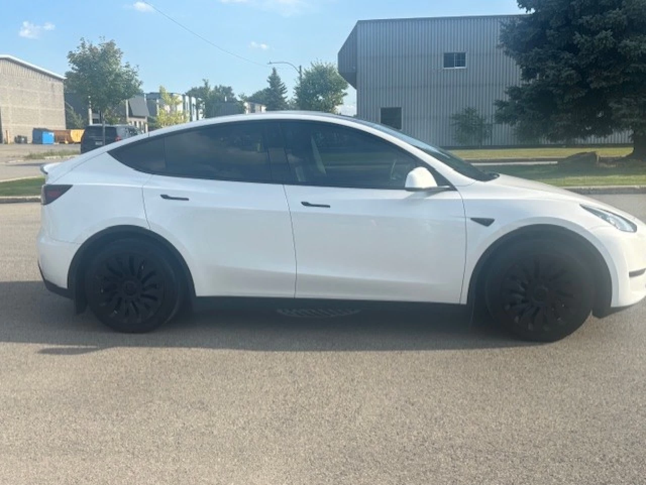 2023 Tesla Y  Main Image