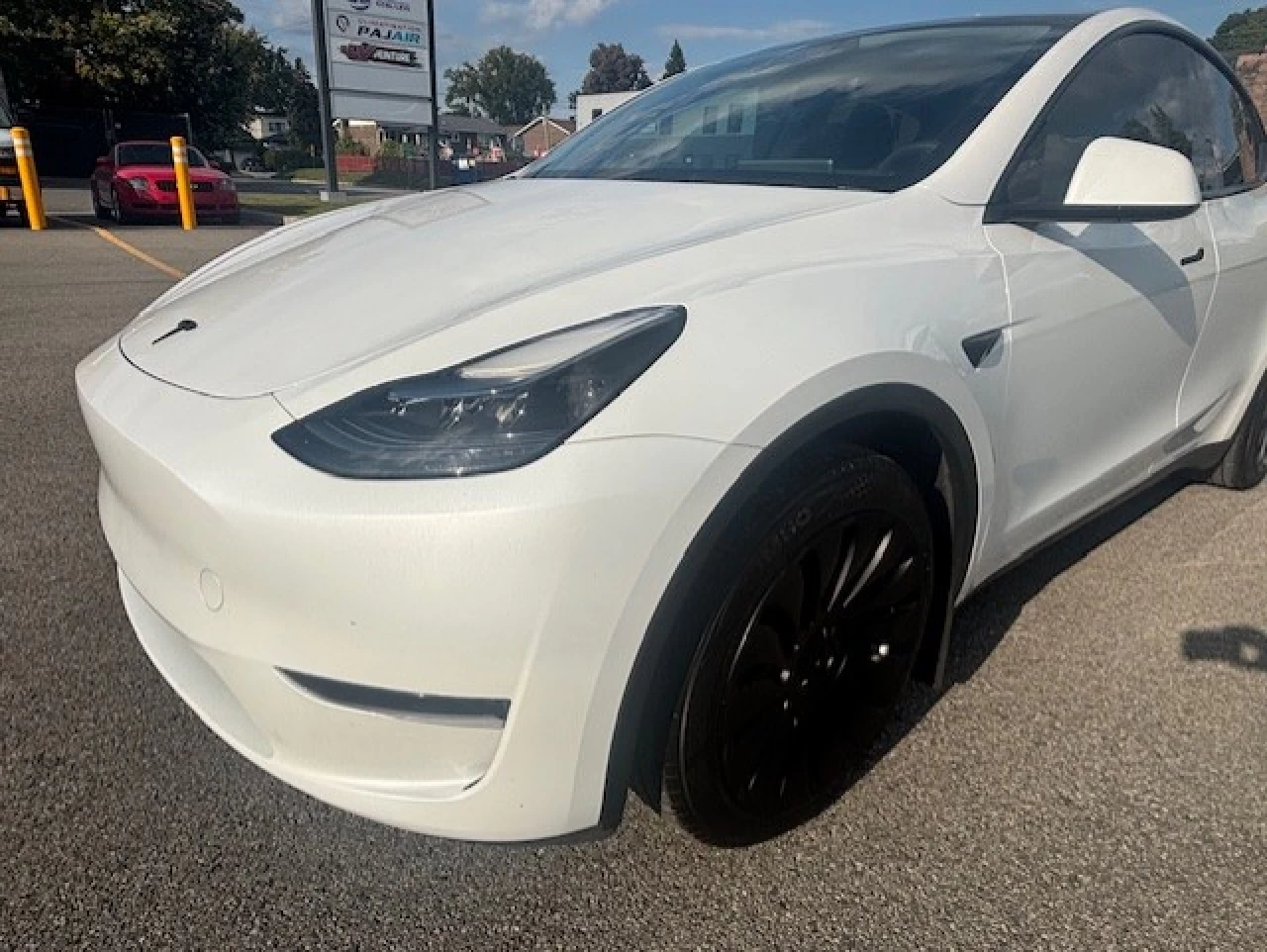 2023 Tesla Y  Main Image